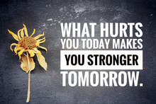 Inspirational Quote - What Hurt You Today Makes You Stronger Tomorrow.  Motivational Words Concept With  Text Message On Blackboard And A Dried Sunflower Head Background.