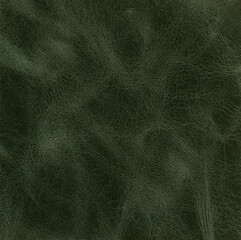 Leather green texture as background