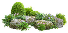 Cutout Rock Surrounded By Flowers. Garden Design Isolated On White Background. Flowering Shrub And Green Plants For Landscaping. Decorative Shrub And Flower Bed.