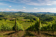 Oltrepo' Pavese landscape hills with wineyards and country roads and Montalto Pavese castle in the background in a sunny day