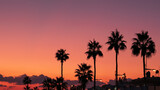 Fototapeta Zachód słońca - Silhouettes of palm trees at orange and violet sunset sky background, copy space. Tropical resort, summer travel concept.