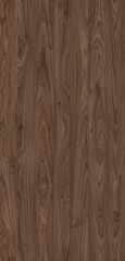 Wall Mural - Background image featuring a beautiful, natural wood texture