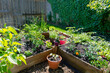 Fresh food from your own garden is part of a healthy lifestyle. Planted in spring, this raised backyard garden bed is loaded with a variety of herbs and vegetables ready to be harvested in summer.