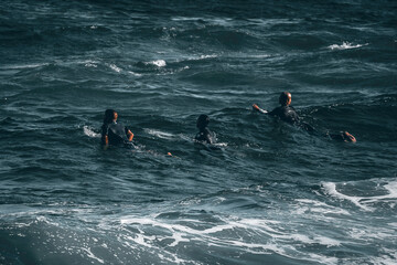 Wall Mural - 3 surfers from behind paddling for a wave in winter in there wetsuits