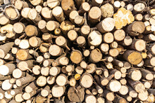 Stack Of Sawn Logs. Natural Wooden Decor Background.