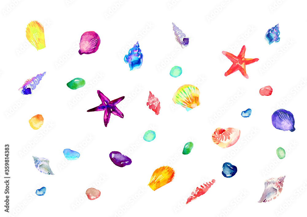 貝,貝殻,イラスト,夏,背景,水彩 Stock Illustration | Adobe Stock