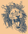lion head vector. Vector illustration in style of roaring lion strokes. Design focused on t-shirts, posters, among others.