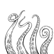 Set Of Black And White Sketches Octopus Tentacles. Creepy Limbs Of Marine Inhabitants. Vector Object For Logos, Tattoos, Cards And Your Design.