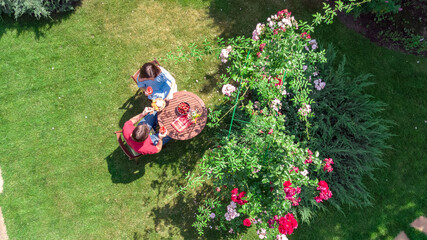 Young couple enjoying food and wine in beautiful roses garden on romantic date, aerial top view from above of man and woman eating and drinking together outdoors in park
