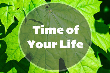 Wall Mural - Time of your life inspirational quote on a natural background.