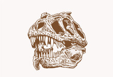 Graphical Vintage Skull Of Tyrannosaurus
,sepia Background, Vector Illustration