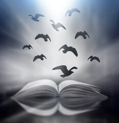Poster - an abstract fantasy image opens an old book with birds flying out of the book as birds flying to the