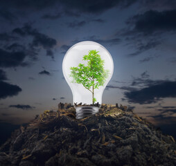 Light bulb with tree inside on pile of soil over sunset sky, Ecological power and energy concept