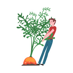 Poster - Young Man Pulling Big Carrot Root, Female Farmer Character with Natural Organic Vegetable Vector Illustration