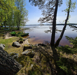 Sticker - Walk by the lake among the trees on a sunny spring day.