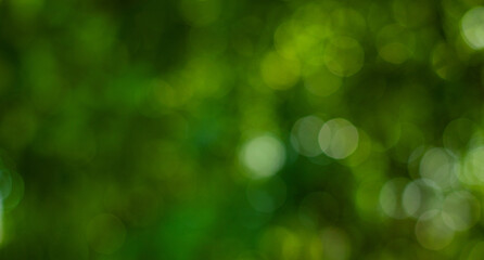 abstract circular green bokeh background, green nature spring and nature light in blurred style, cop