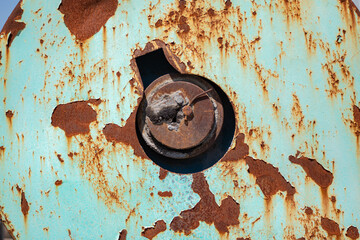 Wall Mural - rusty metal door