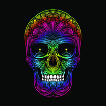 Vector Color Skull  Illustration