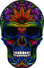 Vector Rainbow Skull Illustration
