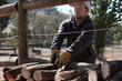 © Gary Radler/Austockphoto - Young man stacking logs at a farm