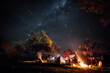 © Lachlan Gardiner/Austockphoto - Family camping under starry sky at night