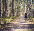 © Lisa Goodison/Austockphoto - Middle aged man dressed casually walking along a path lined with trees