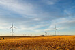 © Rosalie Dibben/Austockphoto - rows of wind turbines in afternoon light