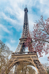 Wall Mural - The famous Tour Eiffel when the spring is just beginning