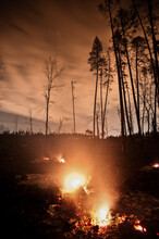 Forest Fire At Night - Long Exposure