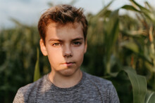 Young Boy In Corn Field