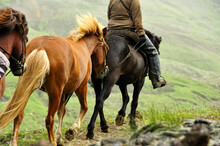 Horse Excursion In Iceland