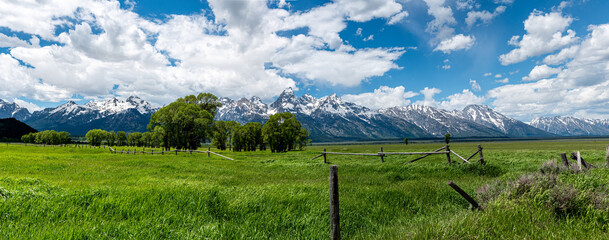 Wall Mural - A Field on Mormon Row in the Grand Teton National Park, Wyoming