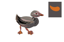 Children Drawing Tutorial How To Draw A Duck, Illustration Based On One Oval Shaped Curved Line