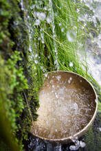Tibetan Singing Bowl Under A Waterfall With Water And Moss In The Background.