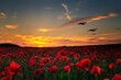 Lest we Forget, poppy field with WW11 planes flying across as the sun goes down. Remembrance Day, Anzac Day tribute to the fallen.