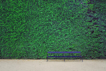 Garden Chair At The Park With Green Leaves Wall Background