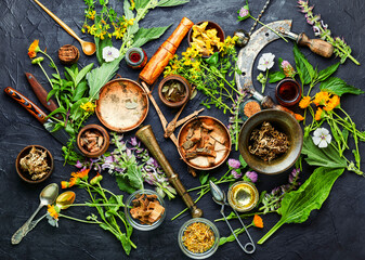 Wall Mural - Fresh healing herbs