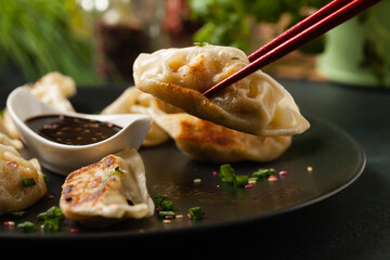 Wall Mural - Original Japanese dumplings Gyoza with chicken and vegetables.Front view. Dark blue backgrund.