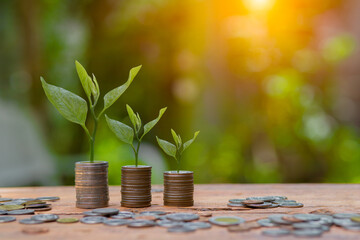 Saving money  puting coins in jug glass on nature background