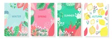 Vector Set Floral Background, Nature Background,Four Seasons, Template, Banner, Cover, Templates, Postcard.