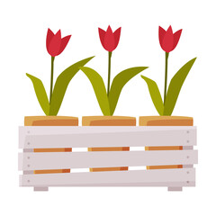 Sticker - Wooden Crate with Tulip Flowers Flat Style Vector Illustration on White Background