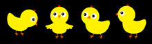 Chicken Chick Bird Set Line. Cute Cartoon Funny Kawaii Baby Character. Face Head. Happy Easter. Friends Forever. Greeting Card. Flat Design. Black Background. Isolated.