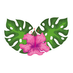 Sticker - hibiscus beautiful pink color with leaves, tropical nature, spring summer botanical vector illustration design