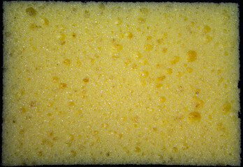 Texture - Yellow Sponge for the kitchen