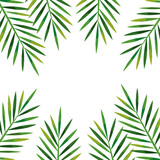 Fototapeta Sypialnia - frame of branches with leaves tropical, nature concept vector illustration design