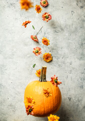 Wall Mural - Levitating orange Pumpkin and Chrysanthemum against old concrete background