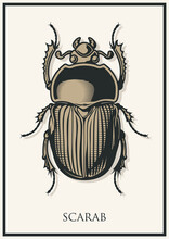 Scarab Bug, Dor-Beetle Vector Drawing 