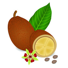 Wall Mural - Whole cupuacu cacao fruit with leaf slice and flower isolated on white background.