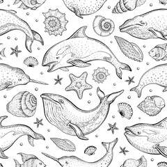Wall Mural - Whales seashell pattern. Vector seamless background with blue whale, narwhal, orca killer. Cute sea animal illustration. Cartoon marine ocean drawing. Outline print, wallpaper art, textile design