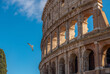 Mewa latająca wokół Coloseum
